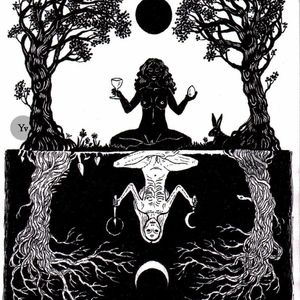 Meet your Posher, Franki